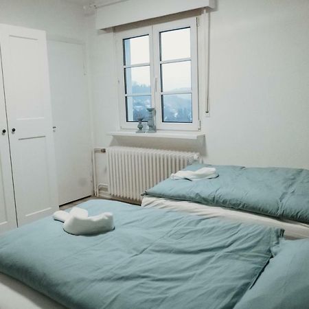 Ferienhaus Schneeweiss Winterberg Extérieur photo