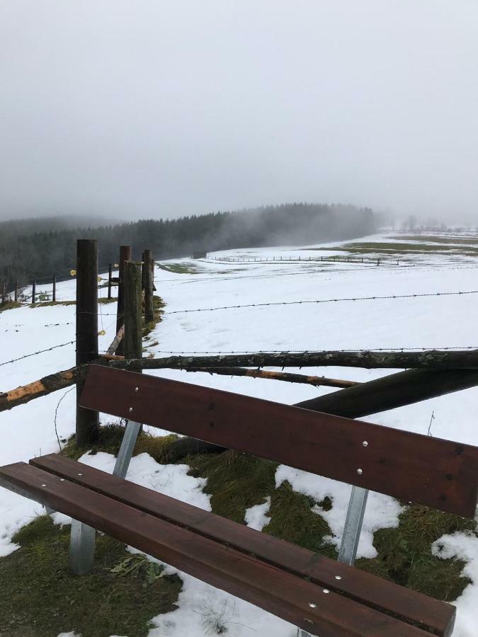 Ferienhaus Schneeweiss Winterberg Extérieur photo