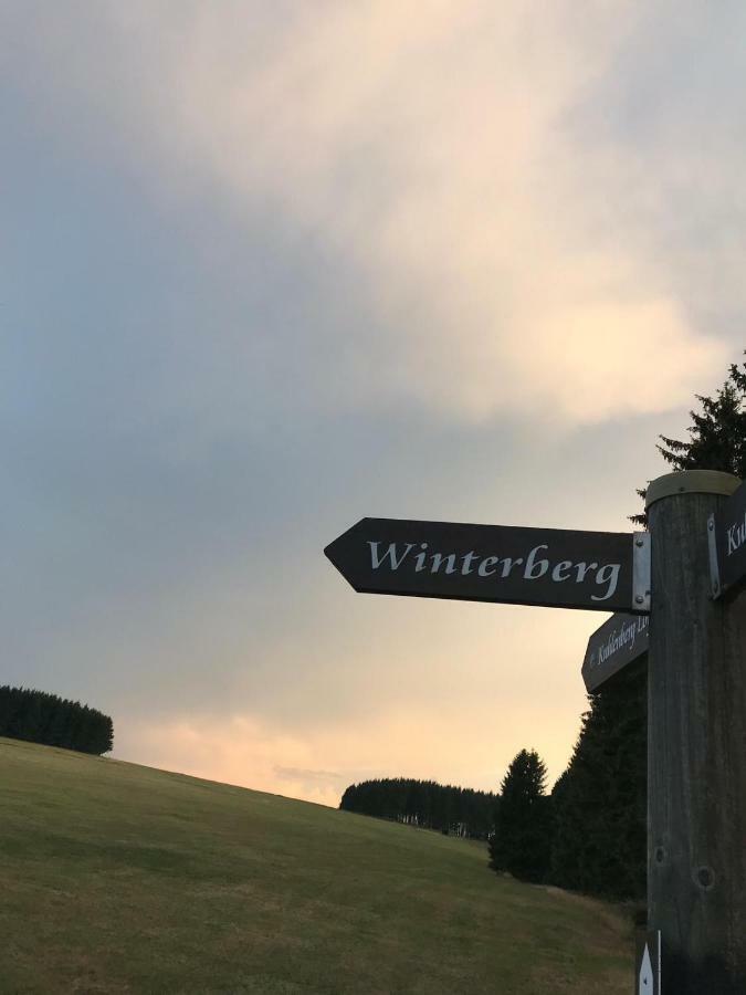 Ferienhaus Schneeweiss Winterberg Extérieur photo