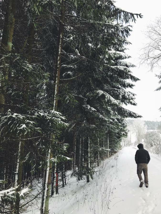 Ferienhaus Schneeweiss Winterberg Extérieur photo